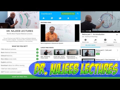 dr najeeb lectures and torrent files
