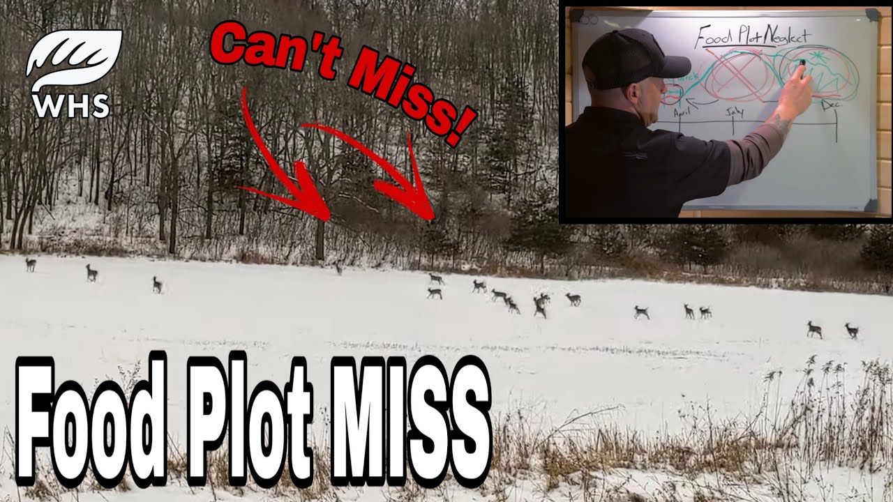 Most Neglected Food Plot Timing