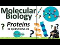 Protein Functions and Metabolism Concepts