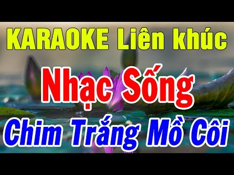 Karaoke Liên khúc Nhạc Sống Trữ Tình Nhạc Vàng Mới Nhất | Lk Bolero Chim Trắng Mồ Côi | Trọng Hiếu