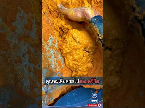 ดินสีเหลือง มีแร่ทองคำปะปนอยู่จำนวนมาก