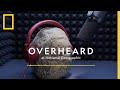 Exploring the History of Recorded Sound and Ancient Music