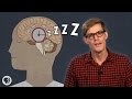 Understanding Sleep and Its Science