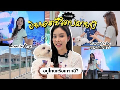 อัพเดตชีวิต💡l Renovate บ้าน,อยู่ไทยหรือเกาหลี?,น้องหมาไม่กลับเกาหลีแล้วหรอ?