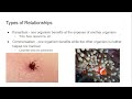 Organism Relationships and Interactions