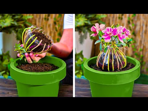 Genius Indoor Planting Tips VS Vegetable Garden Hacks: Quick and Simple Tricks