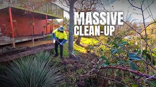 Garden Nightmare Transformation | Watch Me Rescue this Huge Yard