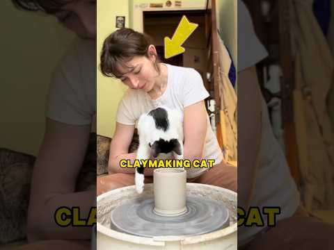 A cat that makes pottery #shorts