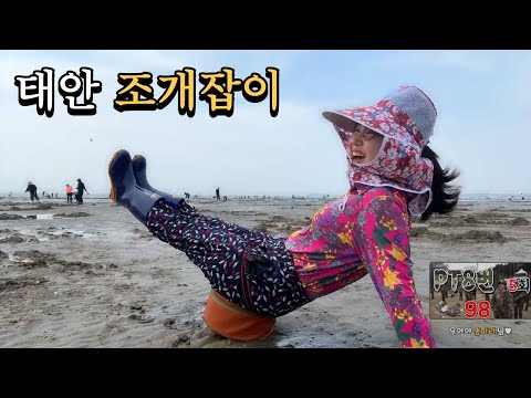 태안 조개잡이 한시간에 얼마나 잡을까??