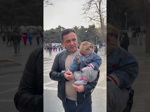 26 марта 2023 г.