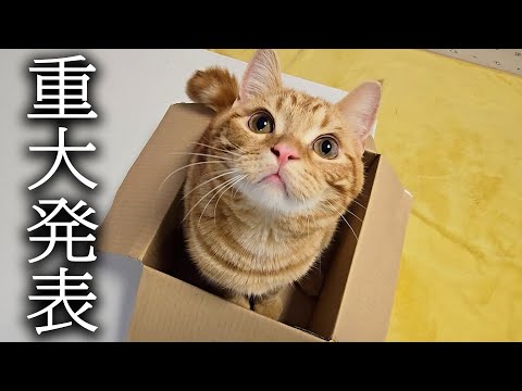 みなさまに重大なご報告があります...