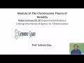 Genetics and Chromosome Theory