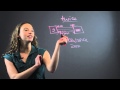 Using a Triple Beam Balance