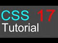 CSS Box Model Concepts