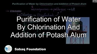Purification of Water by Chlorination and Addition of Potash Alum