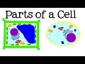 Exploring Cell Structure and Functions