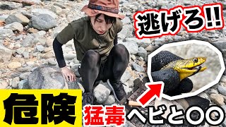 【サバイバル生活#最終回】猛毒ヘビ再び！危険生物に次々襲われ逃げる女…衝撃のラスト【7日目】
