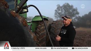 Australia farmers forced to scale back crops amid soaring fuel, fertiliser prices