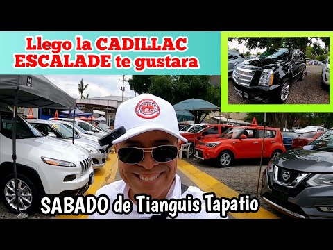 Buenas y bonitas pero no son baratas! Tianguis de autos el tapatio 2026.