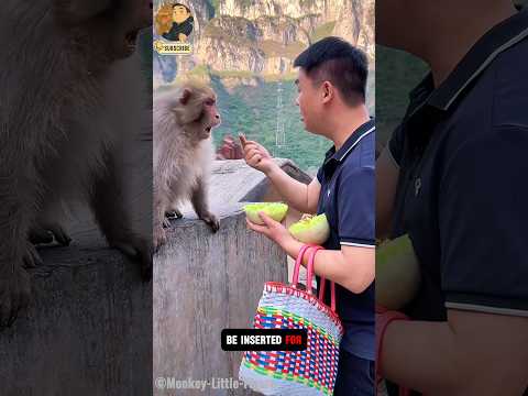 🐒🍽️ Exciting to meet new monkey friends! Let’s share some yummy Fruits 🍌🥭 and make the day