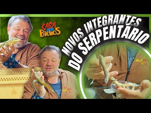 NUNCA IMAGINEI VER ISSO AO VIVO! NOSSOS NOVOS MORADORES SÃO DE OUTRO MUNDO!