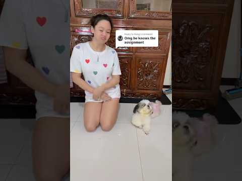 dancing dog!