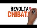 Revolta da Chibata: Questões e Respostas
