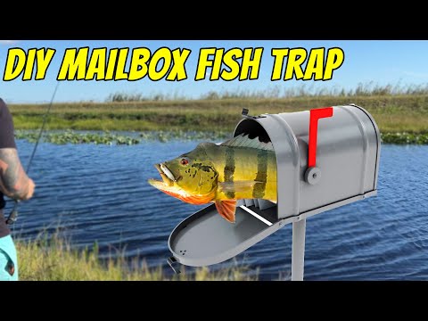 DIY FISH TRAP with a Mailbox | Monster Mike