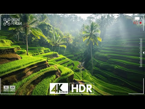 Unforgettable Destinations in 4K 60FPS HDR Dolby Vision