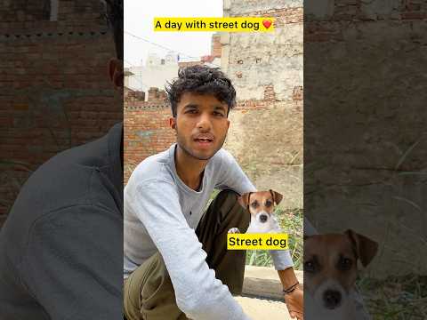 A day with street dog ❤️ #shorts #trending