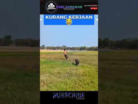 edisi kurang kerjaan ya jadi gini ๐ #funny #trending #shortvideo #shorts #videolucuterbaru