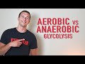 Glycolysis and Energy Production Concepts