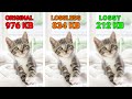 Understanding Lossy and Lossless Compression