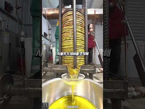 순수한 오일을 추출하는 오일 프레스