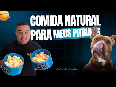 COMIDA NATURAL PARA MEUS PITBULLS 🐶😋ASSISTAM ATÉ O FINAL !!! #youtube #cachorro #pitbull