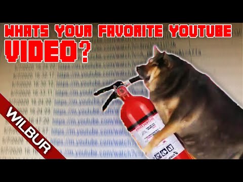 I Asked 5000 People to Send me their Favorite Youtube Video
