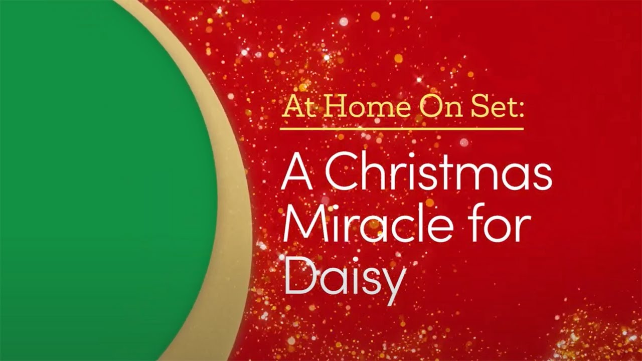 A Christmas Miracle for Daisy Anonso santrauka