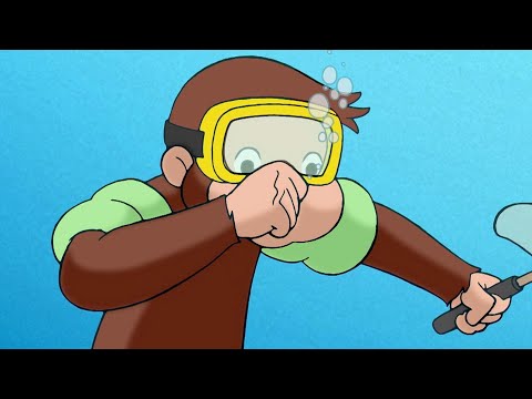 Curioso Come George 🐵 George trova nuovi animali domestici 🐵Cartoni per Bambini