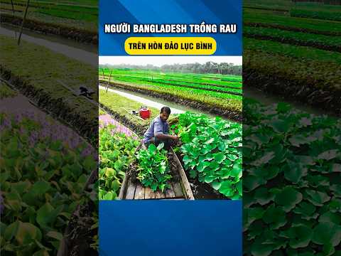 Trong Cái Khó - Ló Cái Khôn Của Nông Dân Bangladesh