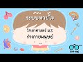ระบบหายใจ