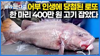 최대 2m 280kg까지 나가는 보기드문 대어, 돗돔이 한국바다에서 잡혔다! 어부 인생에 나타난 로또같은 물고기 ｜극한직업｜#골라듄다큐