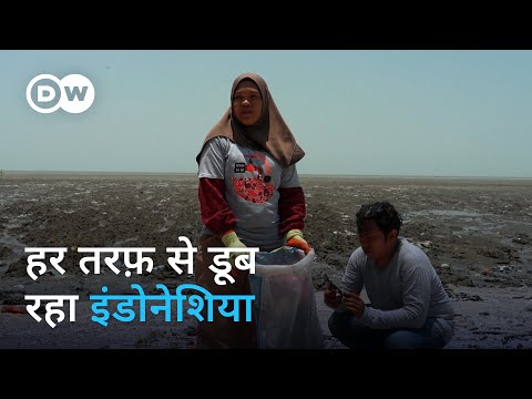 इतनी सारी आपदाओं से जूझता इंडोनेशिया [Indonesia’s environmental disasters] | DW Documentary हिन्दी