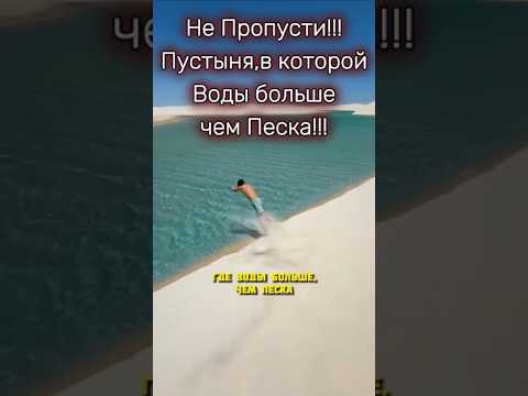 В этой пустыне живут КРАБЫ И РЫБЫ - как это возможно?