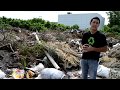 Impacto de la Basura en el Medio Ambiente