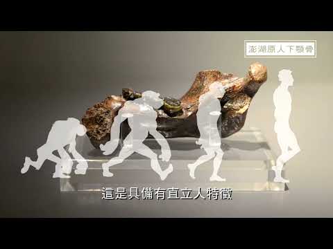 自然史廳-臺灣島的誕生 - YouTube