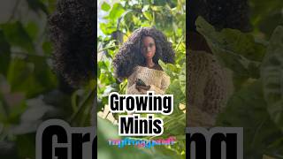 Growing Minis For The Dolls … and the humans | Gardyn | Hydroponic Garden Growing Veggies Inside