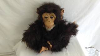 Hasbro Cuddle Chimp Fur Real Furreal Friends Chimpanzee Tiger #75798