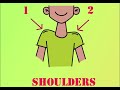 Understanding Shoulders