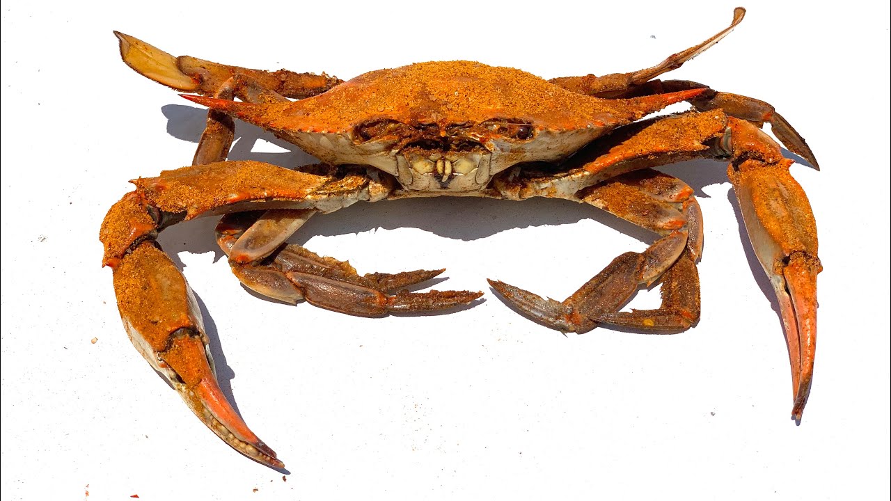 CHESAPEAKE BAY- BLUE CRABS Catch Clean and Cook - Bluegabe
