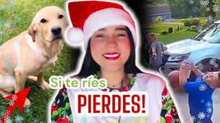 Que en esta Navidad, no falten las RISAS 🤣🎄￼